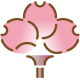 七分咲き