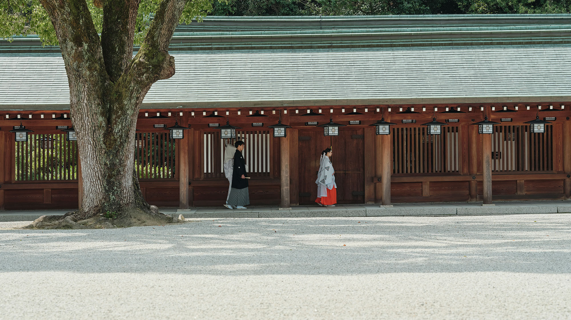橿原神宮 結婚式 内拝殿