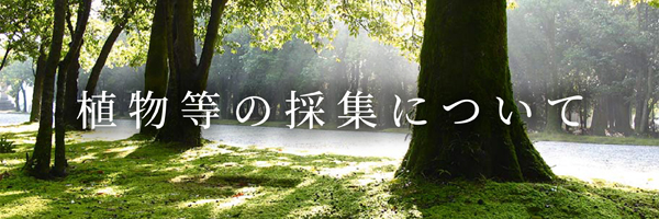 植物等の採集について
