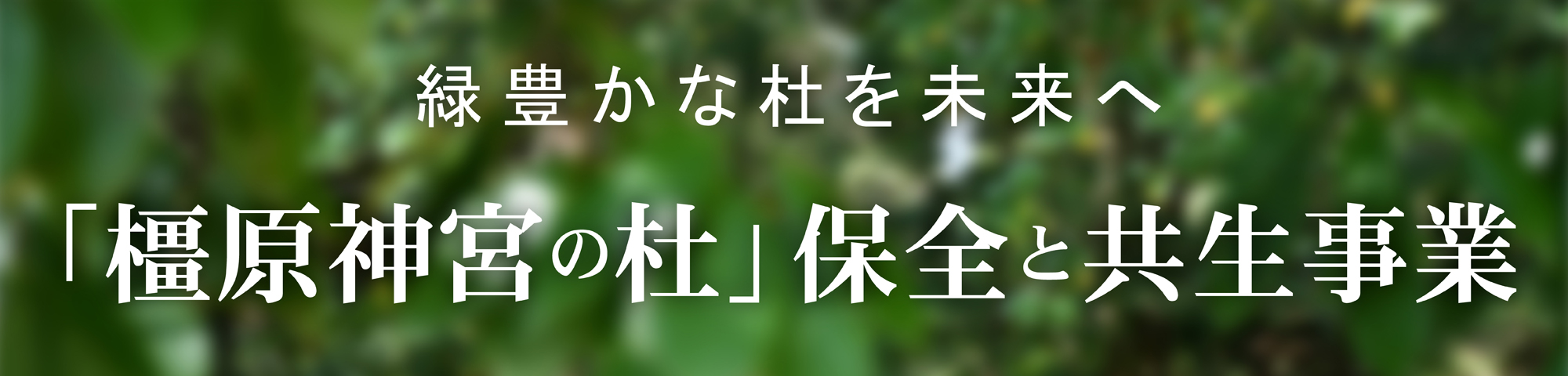緑豊かな杜を未来へつなぐために